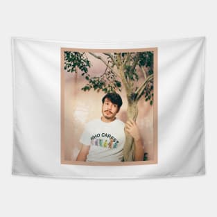 rex orange county colore Tapestry