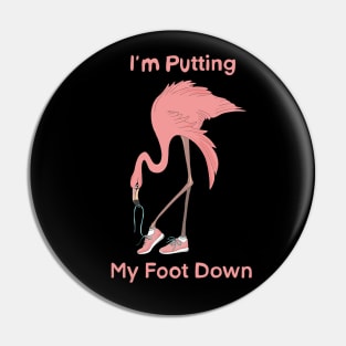 Flamingo and quote I'm putting my foot down Pin