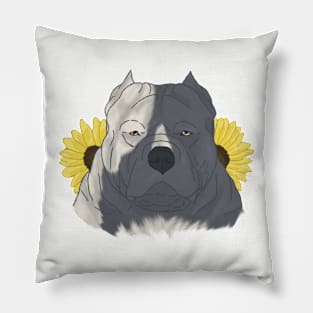 Blue Pied American Bully with Sunflowers Pillow