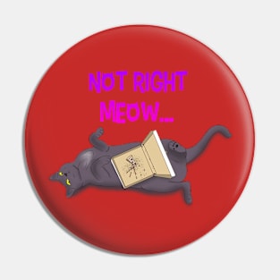 Not Right Meow Pin