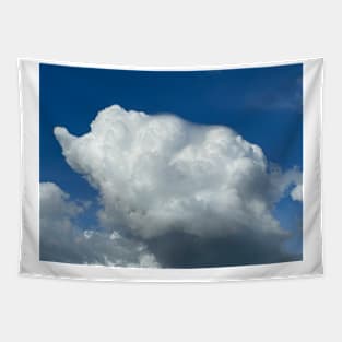 Elephant shape cloud with pileus Tapestry