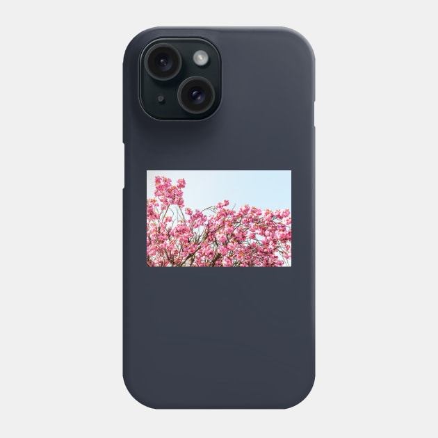 Pink Cherry Blossom Flowers Phone Case by tommysphotos