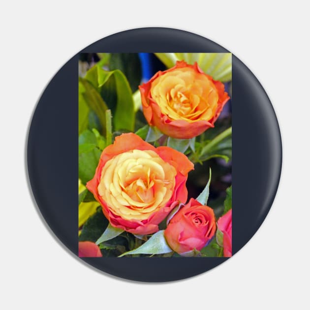 Colourful Tea Rose Pin by pinkal