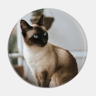 Cute Siamese Cat Pet Pin