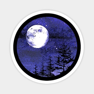 Nigth sky and moon in forest Magnet
