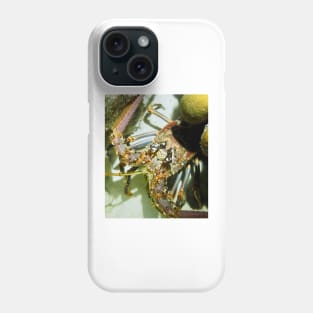 Caribbean Reef Lobster Close Up - Macro Head Photograph Phone Case