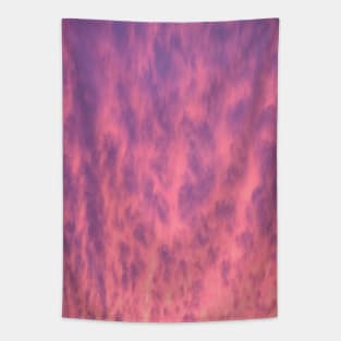 Pink Winter Sky Tapestry