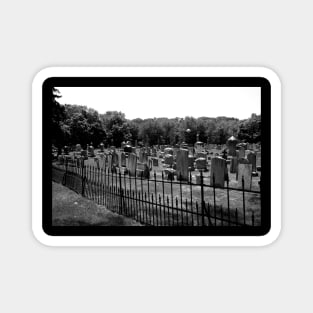 Haunted Cemetery Magnet