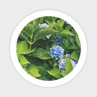 Blue Flowers Magnet