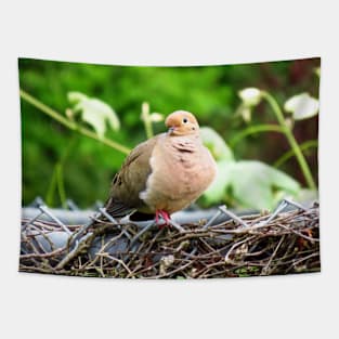 Mourning Dove Sitting On A Fence Tapestry