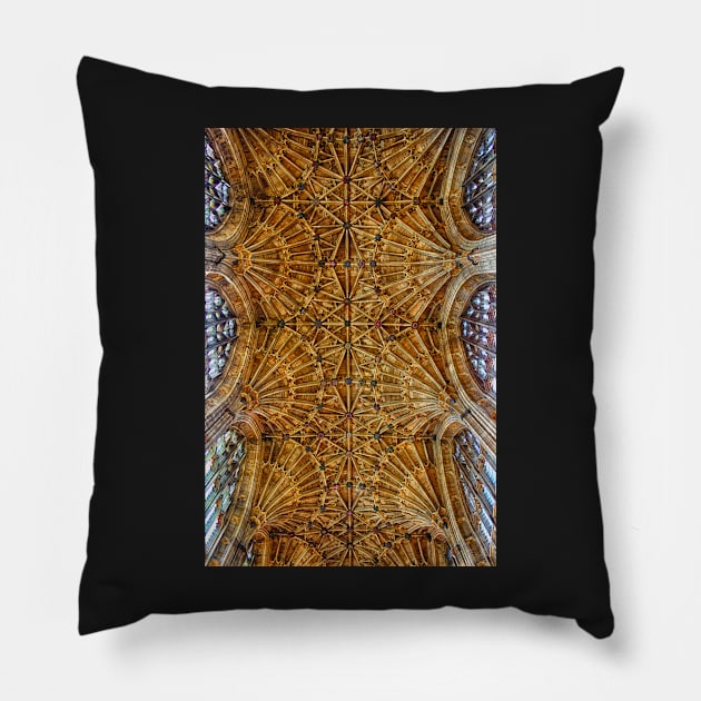 Fan Vaulted Ceiling Pillow by InspiraImage