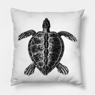 Vintage Sea Turtle Pillow