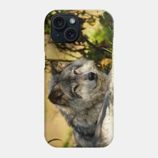 Gray Wolf Phone Case