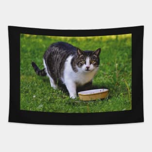 Cute Cat Tapestry