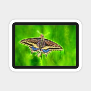 Electric Butterfly Magnet