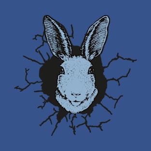 Rabbit cracked wall T-Shirt