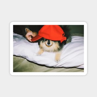 Taehyung V Yeontan Magnet