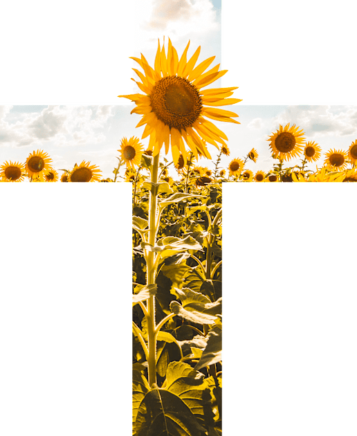 Christian Sunflower Cross Kids T-Shirt by Move Mtns