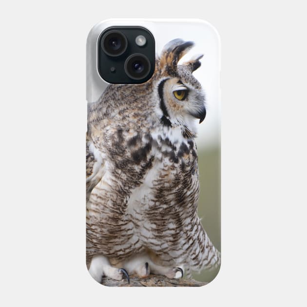 Great Horned Owl Phone Case by DeniseBruchmanPhotography