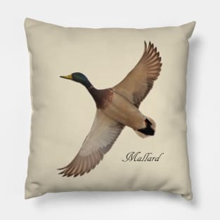 Mallard Pillow