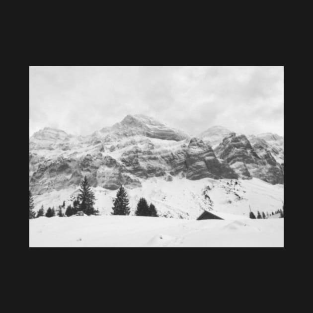 Black and white mountains in Switzerland by Dturner29