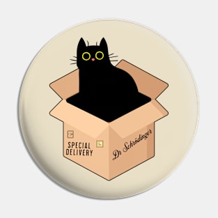 Special Delivery Pin