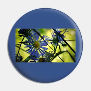 Blue Aster Flower Pin