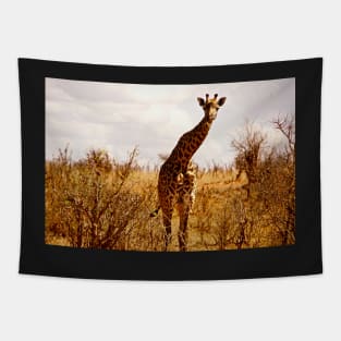 giraffe Tapestry