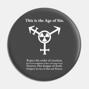 Age of Sin Pin