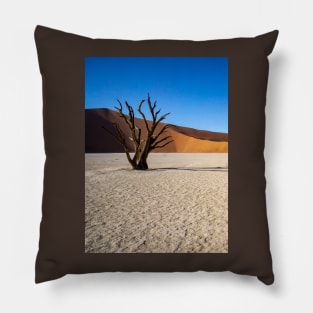 Tree on the salt pan. Pillow