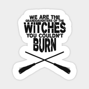 We are the granddaughters of the witches you couldn't burn Magnet