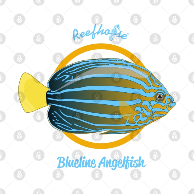 Blueline Angelfish by Reefhorse