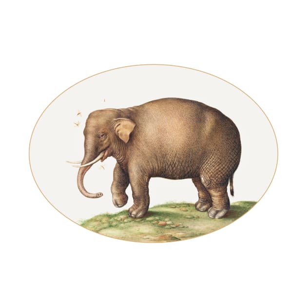 Elephant with Insects (1575–1580) by WAITE-SMITH VINTAGE ART