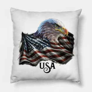Eagle Flag with USA Pillow