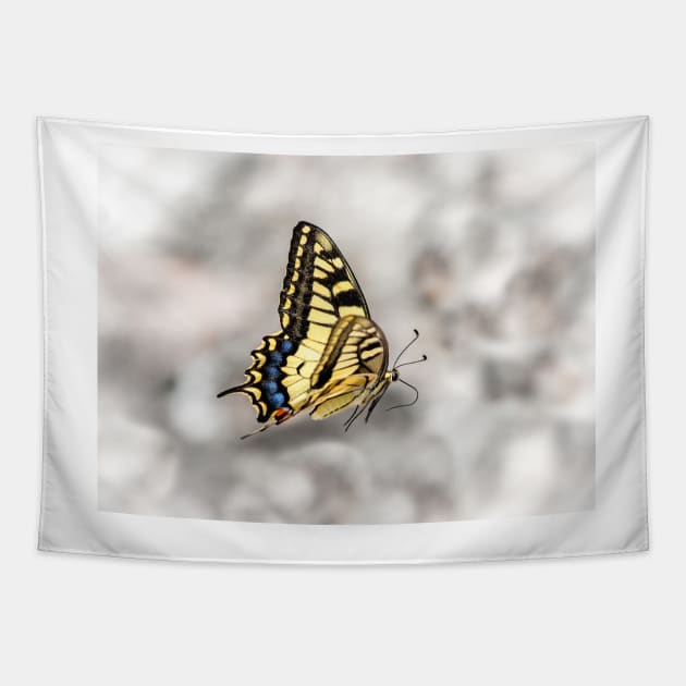 Beautiful Swallowtail Butterfly In Flight Tapestry by GrahamPrentice