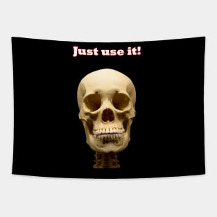 Just use it! Skull Tapestry