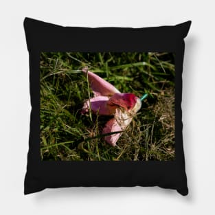 Beaudesert St Nicholas  church Pillow