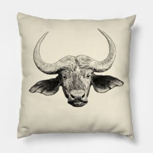 African buffalo Pillow