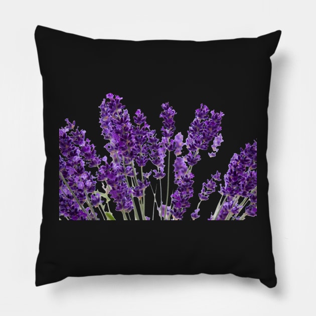 Lavender Pillow by ovidiuboc