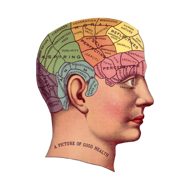 Colorful Retro Phrenology Head by RedThorThreads