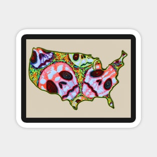 Skull Map USA Magnet