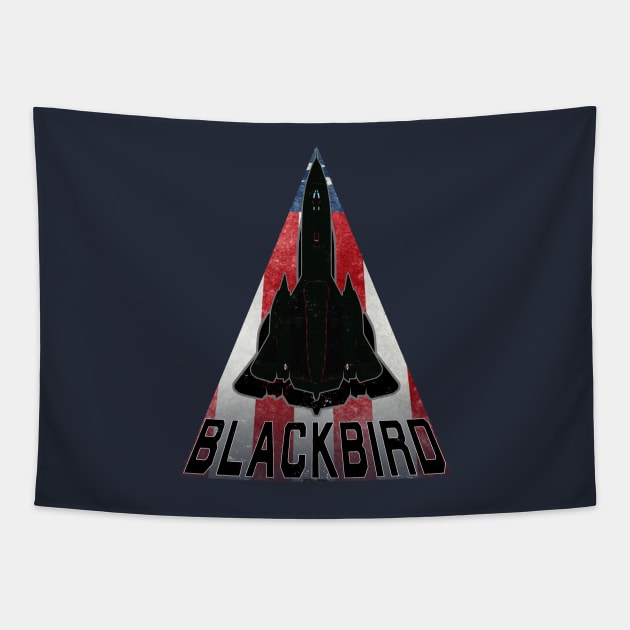 SR-71 Blackbird Tapestry by Wykd_Life