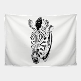 Drawing conversion of a Zebra Tapestry