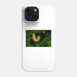 Monarch Caterpillar 4 Phone Case