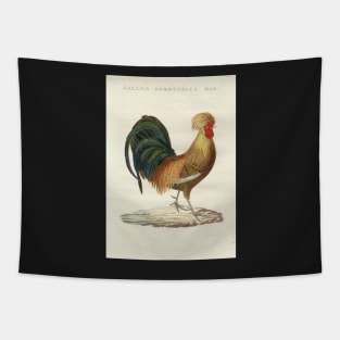 Domestic Hen Tapestry