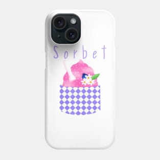 Sorbet on Aqua Phone Case