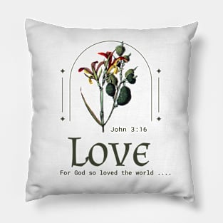 For God so loved the world. John 3:16.  Light Pillow