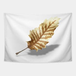 Brown Fall Leaf on White Background Tapestry