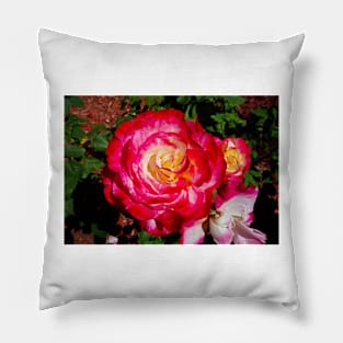 Long Beach Rose 1 Pillow