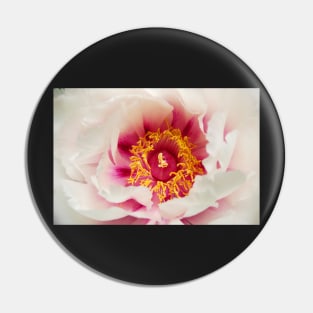 White Peony Pin